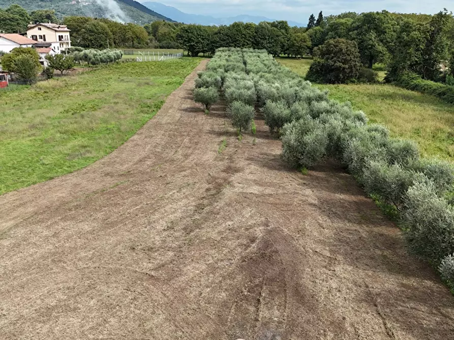 Immagine 14 di Terreno residenziale in vendita  in Via Cesiano snc a Cave