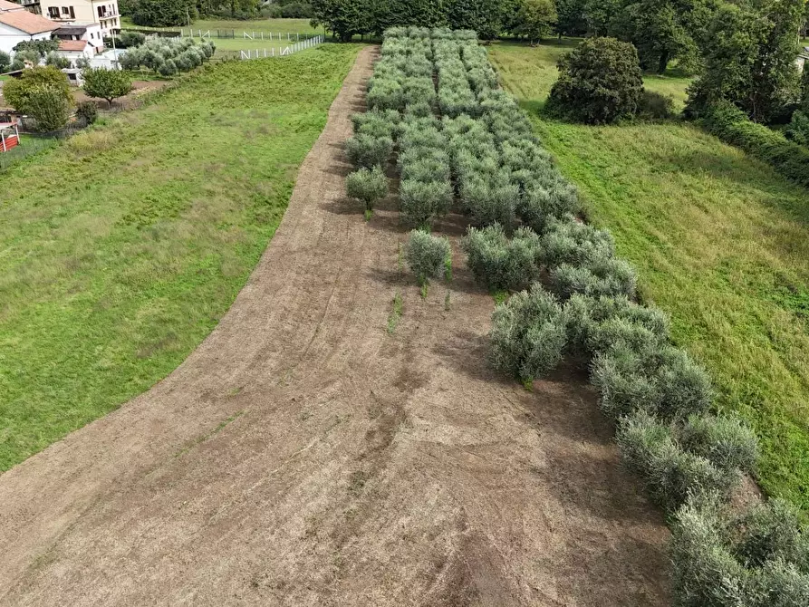 Immagine 15 di Terreno residenziale in vendita  in Via Cesiano snc a Cave
