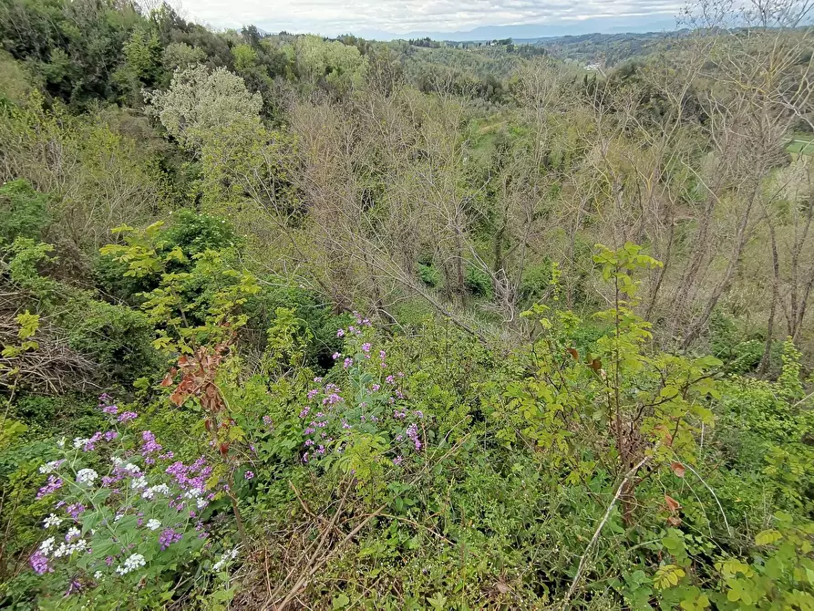 Immagine 19 di Casa indipendente in vendita  in via usigliano a Palaia