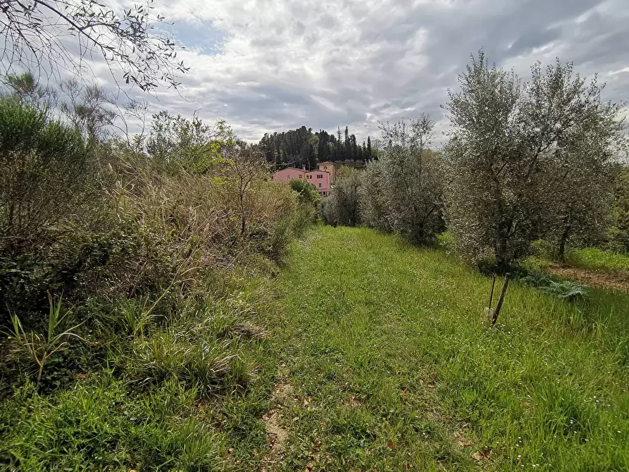 Immagine 20 di Casa indipendente in vendita  in via usigliano a Palaia