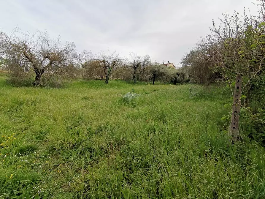 Immagine 12 di Casa indipendente in vendita  in via di bientina a Santa Maria A Monte