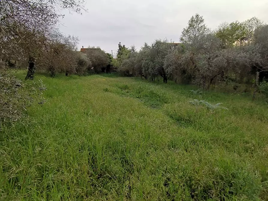 Immagine 14 di Casa indipendente in vendita  in via di bientina a Santa Maria A Monte