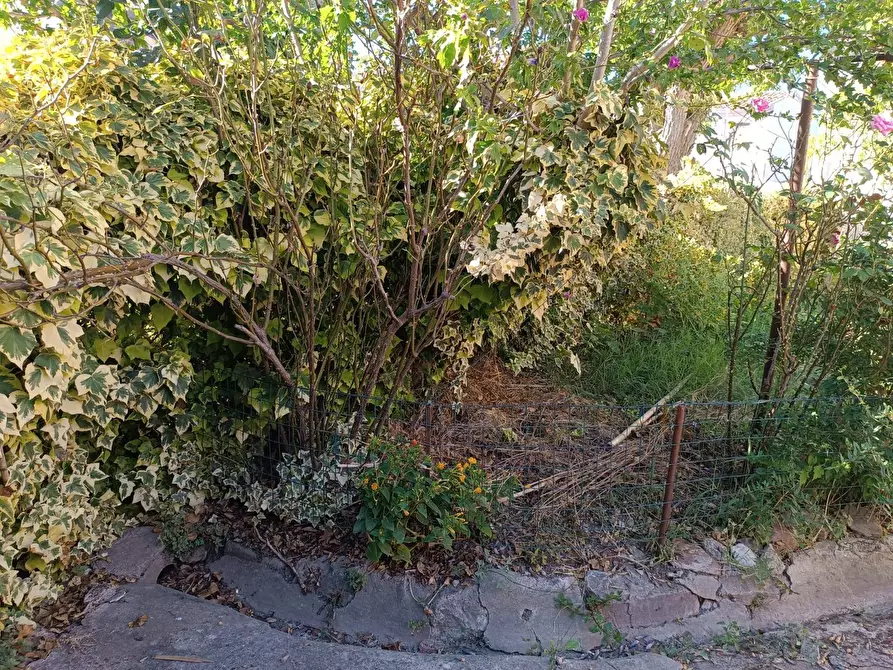 Immagine 22 di Casa indipendente in vendita  in Via del Borghetto a Cascina