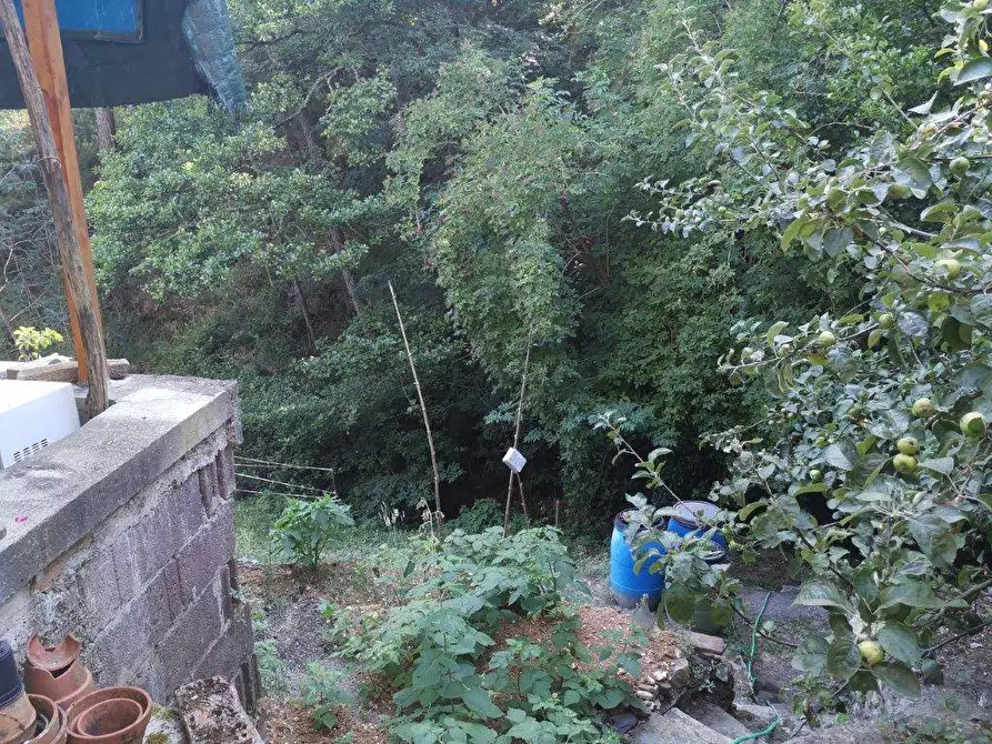 Immagine 9 di Casa indipendente in vendita  in PANICALE a Buti