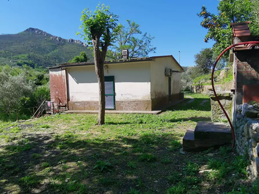 Immagine 4 di Casa indipendente in vendita  in VIA DEI MADONNONI a Calci