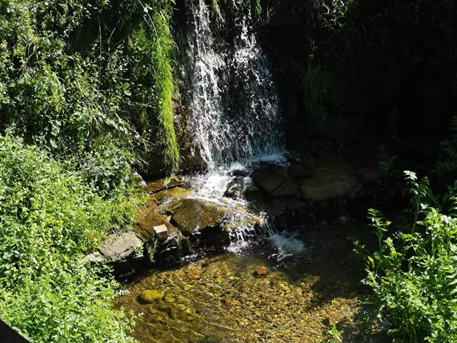 Immagine 14 di Casa indipendente in vendita  in VIA DEI MADONNONI a Calci