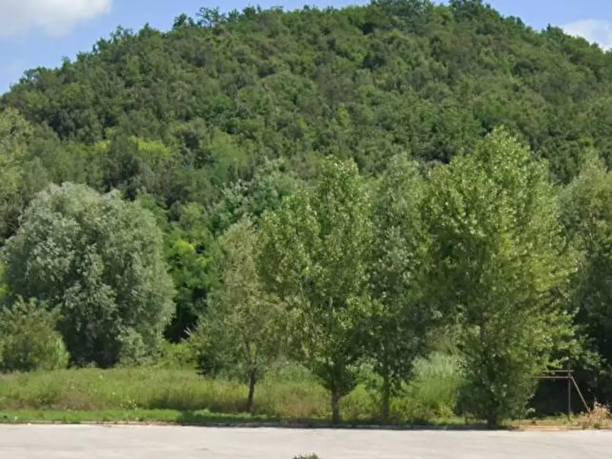 Immagine 1 di Appartamento in vendita  in VIA VALDINIEVOLE NORD a Santa Maria A Monte