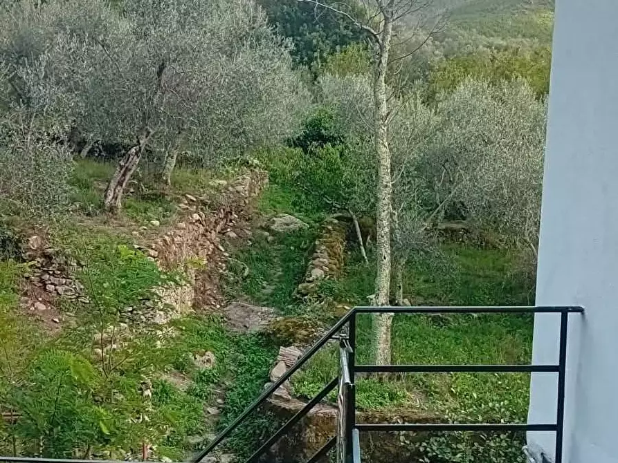 Immagine 12 di Casa indipendente in vendita  in VIA DEI MADONNONI a Calci