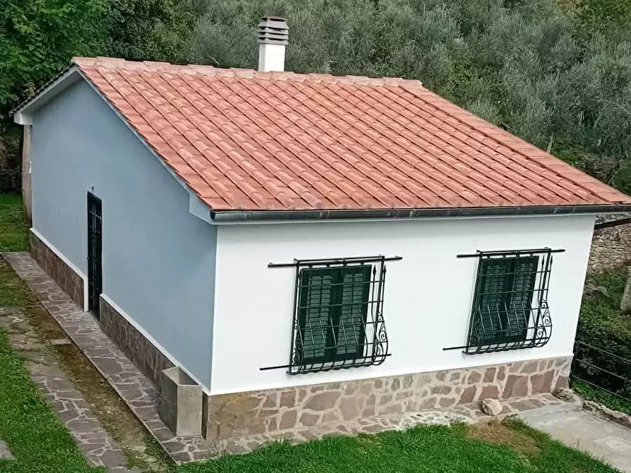 Immagine 2 di Casa indipendente in vendita  in VIA DEI MADONNONI a Calci
