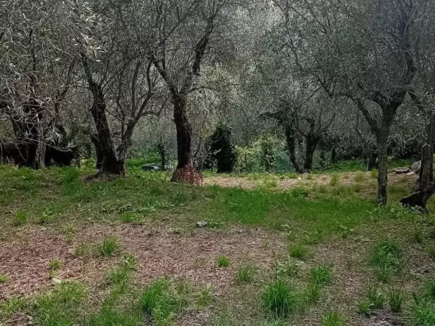 Immagine 15 di Casa indipendente in vendita  in VIA DEI MADONNONI a Calci