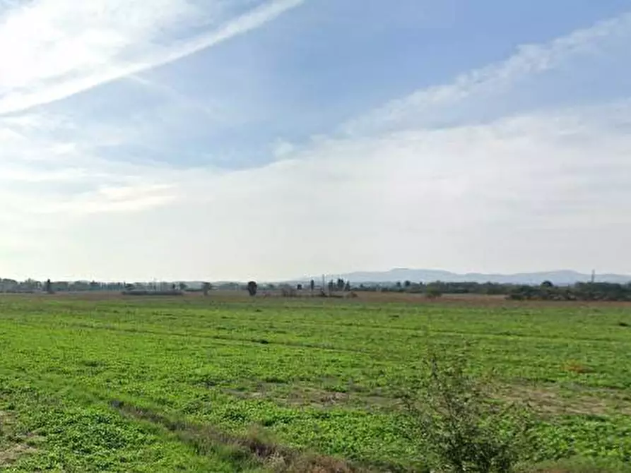 Immagine 10 di Magazzino in affitto  in VIA DELLA CHIESA a Vicopisano