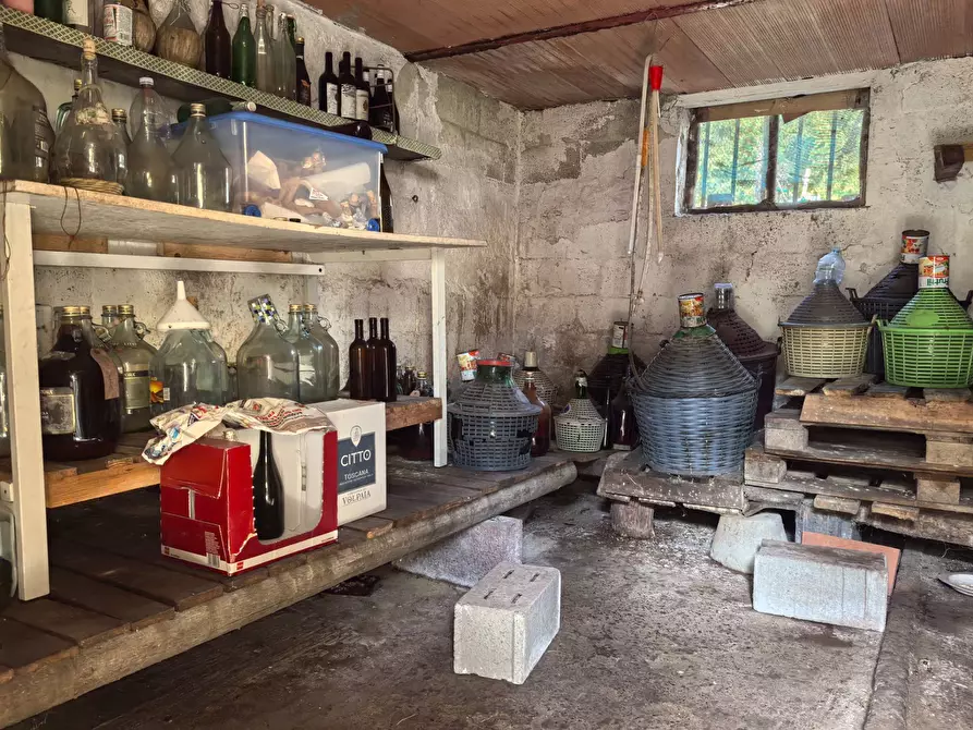 Immagine 27 di Casa indipendente in vendita  in VIA DI BADIA a Buti