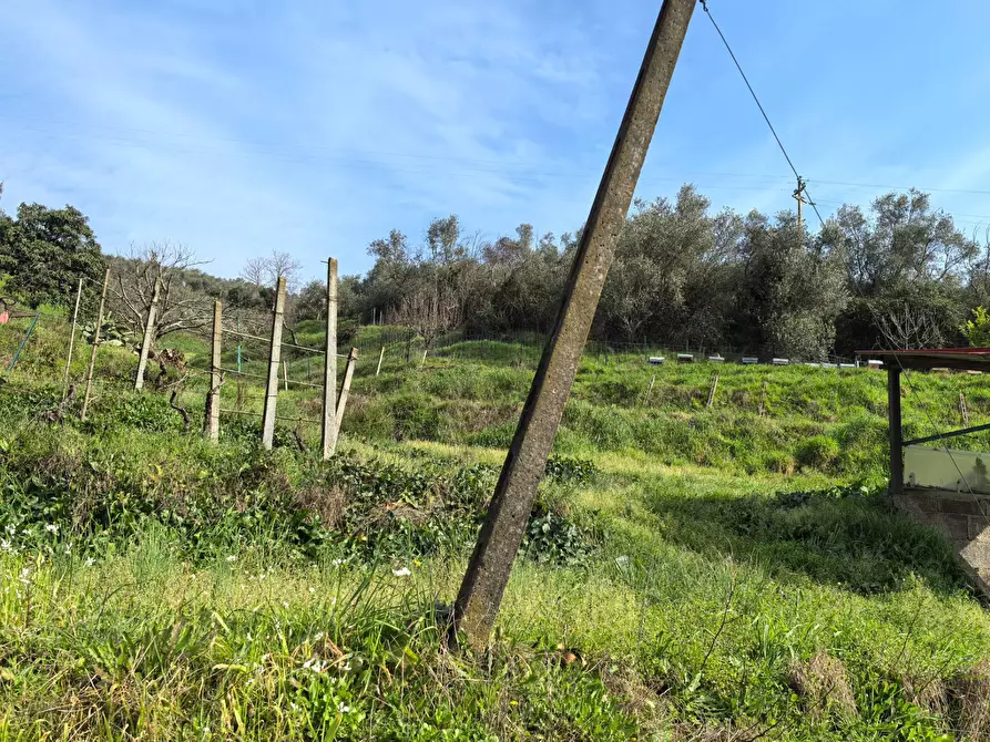 Immagine 29 di Casa indipendente in vendita  in VIA DI BADIA a Buti