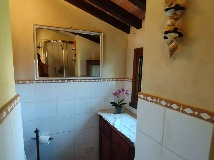 Immagine 25 di Appartamento in vendita  in Via del popolo a Palaia