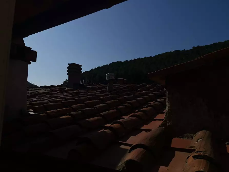 Immagine 45 di Casa indipendente in affitto  in via Piavola a Buti