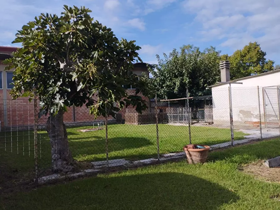 Immagine 11 di Casa indipendente in vendita  in Via XXV aprile a Castelfranco Di Sotto