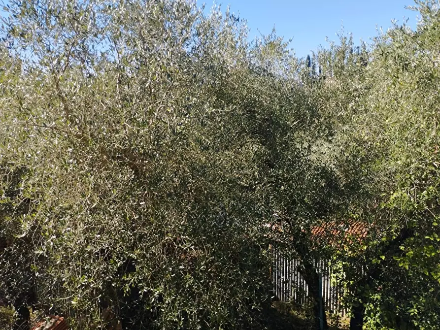 Immagine 15 di Casa indipendente in vendita  in Via Mazzana a Montopoli In Val D'arno