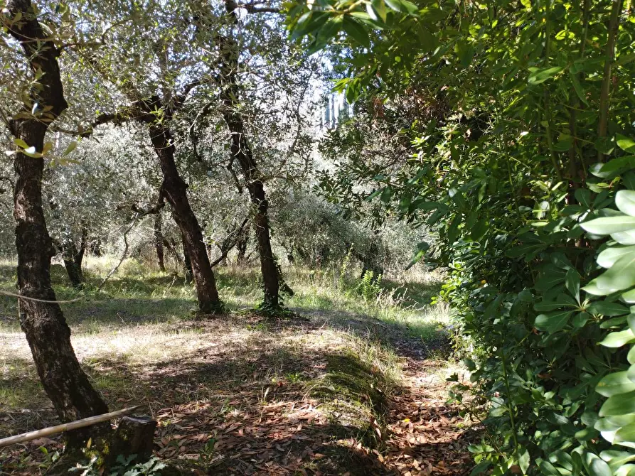 Immagine 6 di Casa indipendente in vendita  in Via Mazzana a Montopoli In Val D'arno