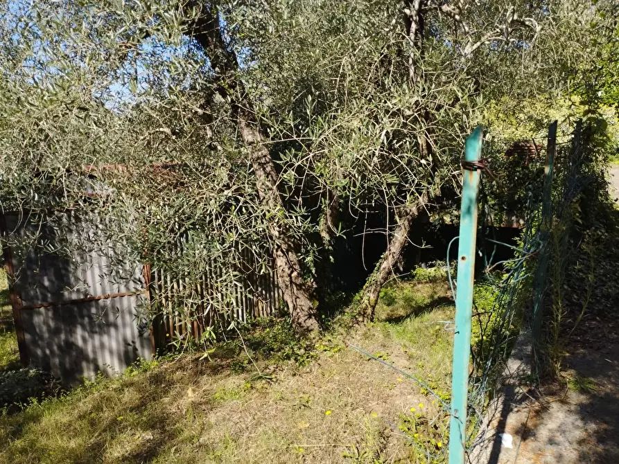 Immagine 10 di Casa indipendente in vendita  in Via Mazzana a Montopoli In Val D'arno