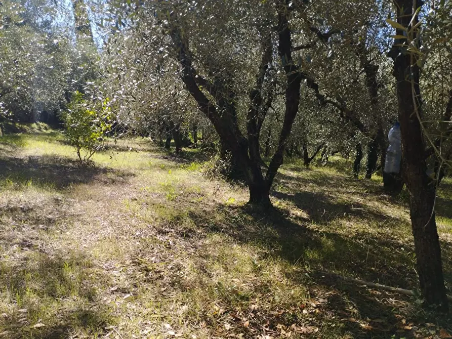 Immagine 22 di Casa indipendente in vendita  in Via Mazzana a Montopoli In Val D'arno
