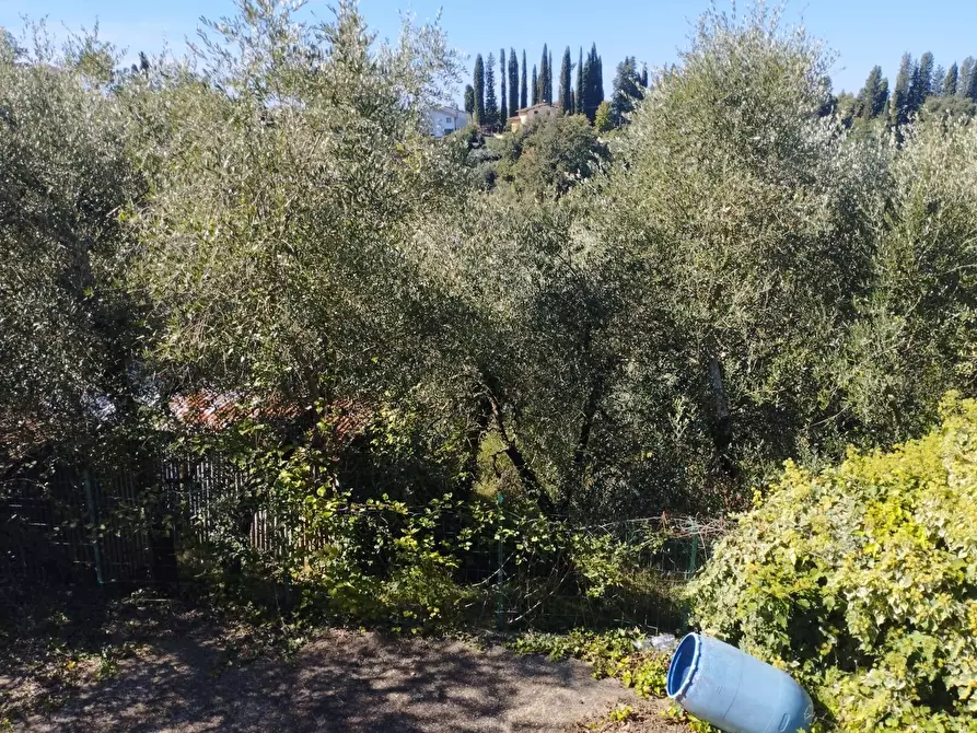 Immagine 40 di Casa indipendente in vendita  in Via Mazzana a Montopoli In Val D'arno