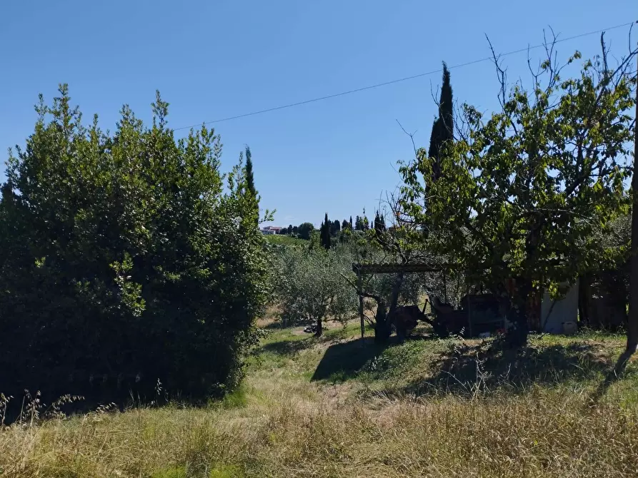 Immagine 12 di Casa indipendente in vendita  in Via Cusignano a San Miniato