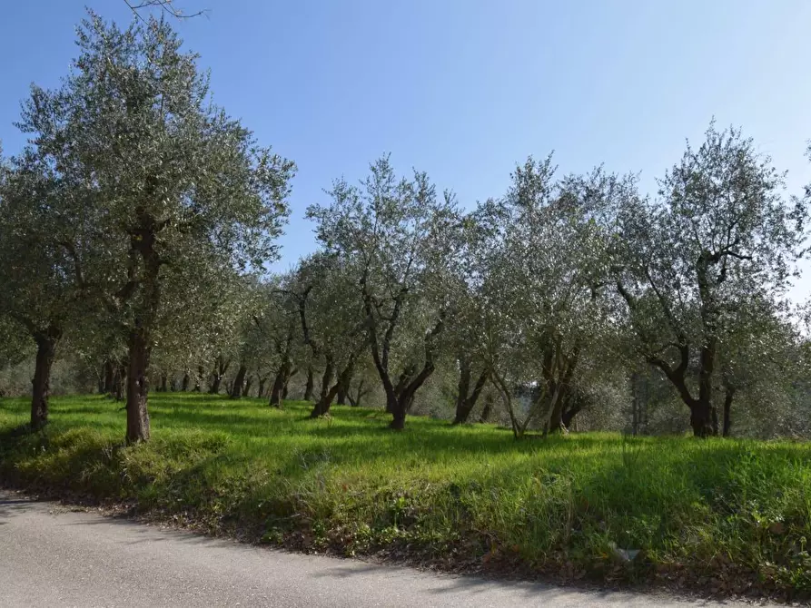 Immagine 6 di Casa indipendente in vendita  in Via della crociata a Montopoli In Val D'arno