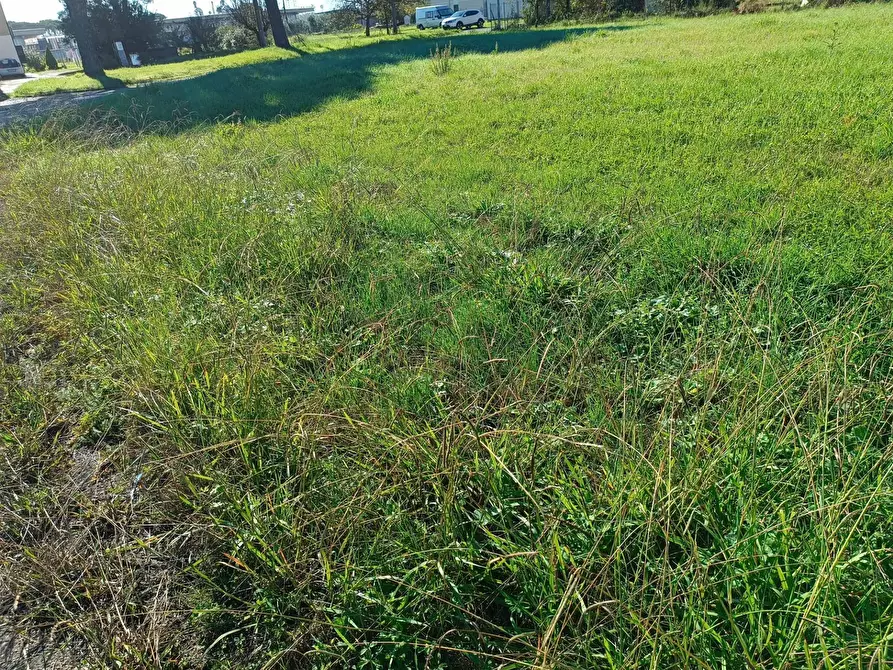 Immagine 6 di Terreno residenziale in vendita  in Via Aiale a Castelfranco Di Sotto