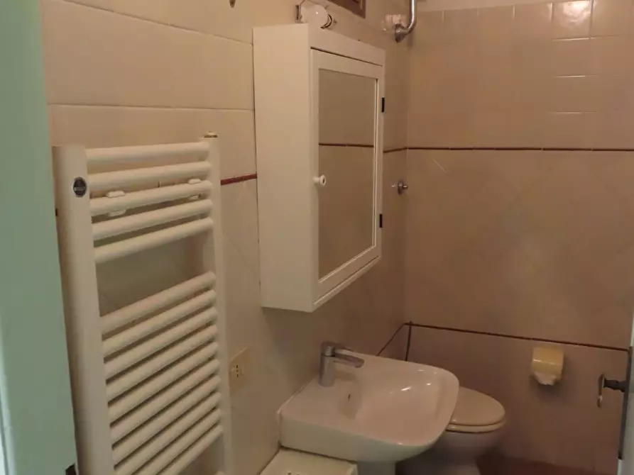 Immagine 11 di Camera in affitto  in via Fiorentina a Pisa