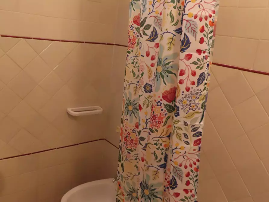 Immagine 12 di Camera in affitto  in via Fiorentina a Pisa