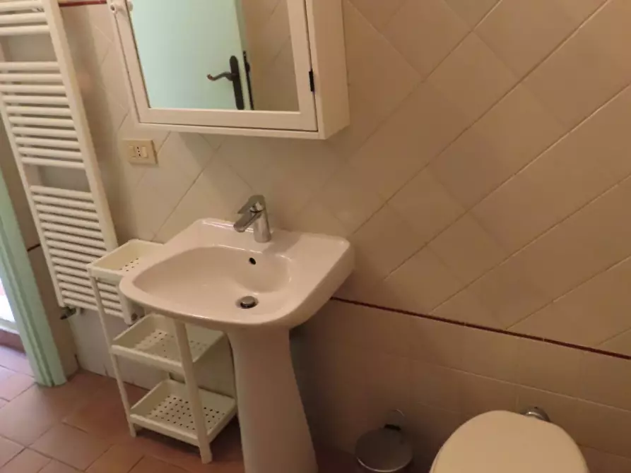 Immagine 13 di Camera in affitto  in via Fiorentina a Pisa