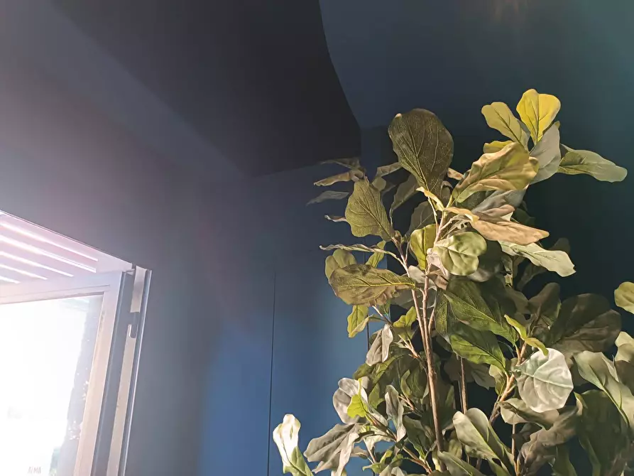 Immagine 18 di Locale commerciale in affitto  in Via Tosco Romagnola a Pontedera