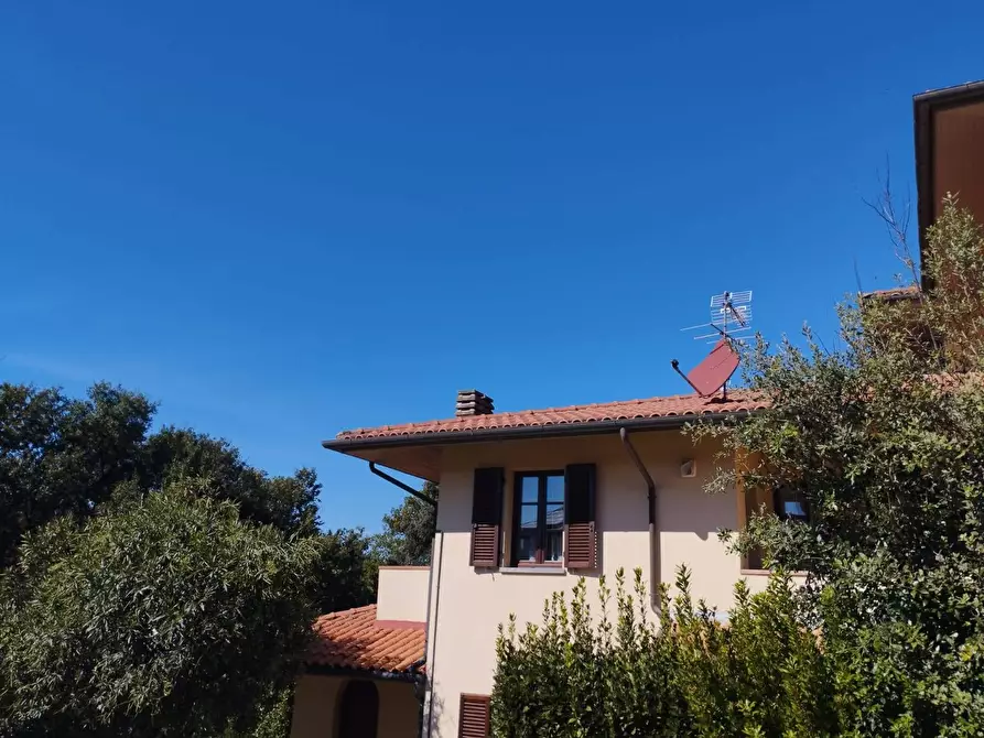 Immagine 6 di Appartamento in vendita  in Via delle pinete a Pontedera