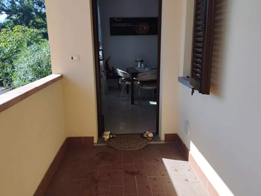 Immagine 11 di Appartamento in vendita  in Via delle pinete a Pontedera