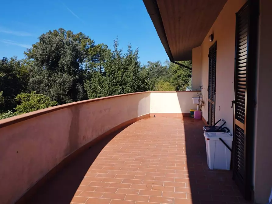 Immagine 14 di Appartamento in vendita  in Via delle pinete a Pontedera