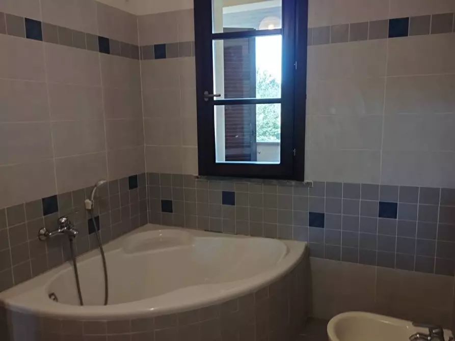 Immagine 29 di Appartamento in vendita  in Via delle pinete a Pontedera