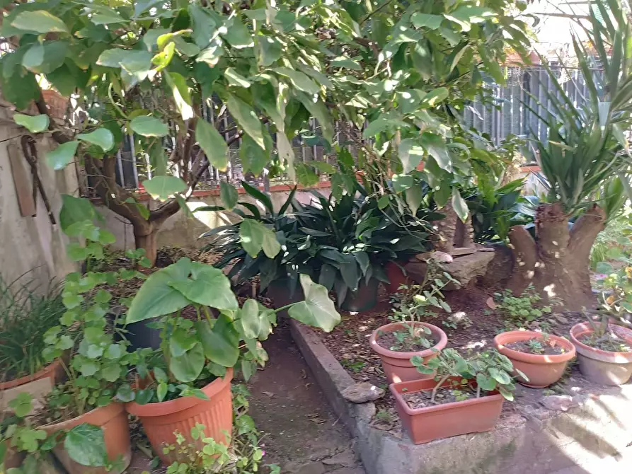 Immagine 2 di Casa indipendente in vendita  in Via Galileo Galilei a Castelfranco Di Sotto