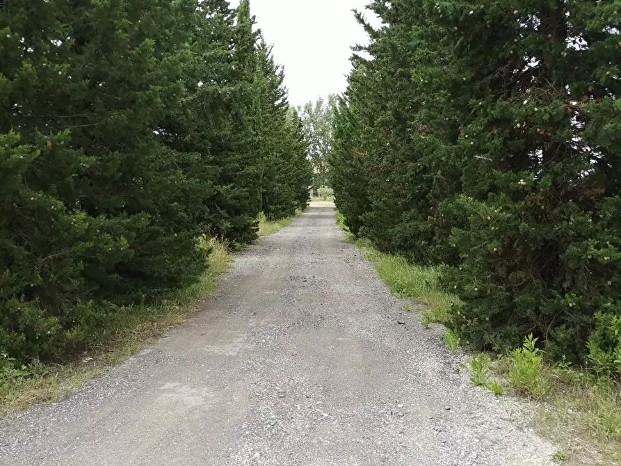 Immagine 8 di Appartamento in affitto  in via valdinievole sud a Bientina