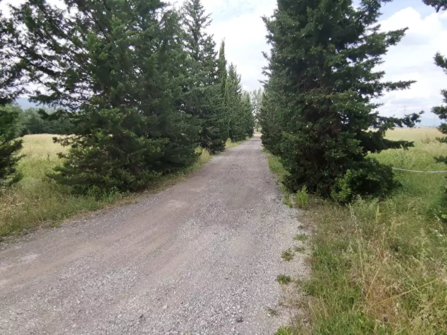 Immagine 9 di Appartamento in affitto  in via valdinievole sud a Bientina