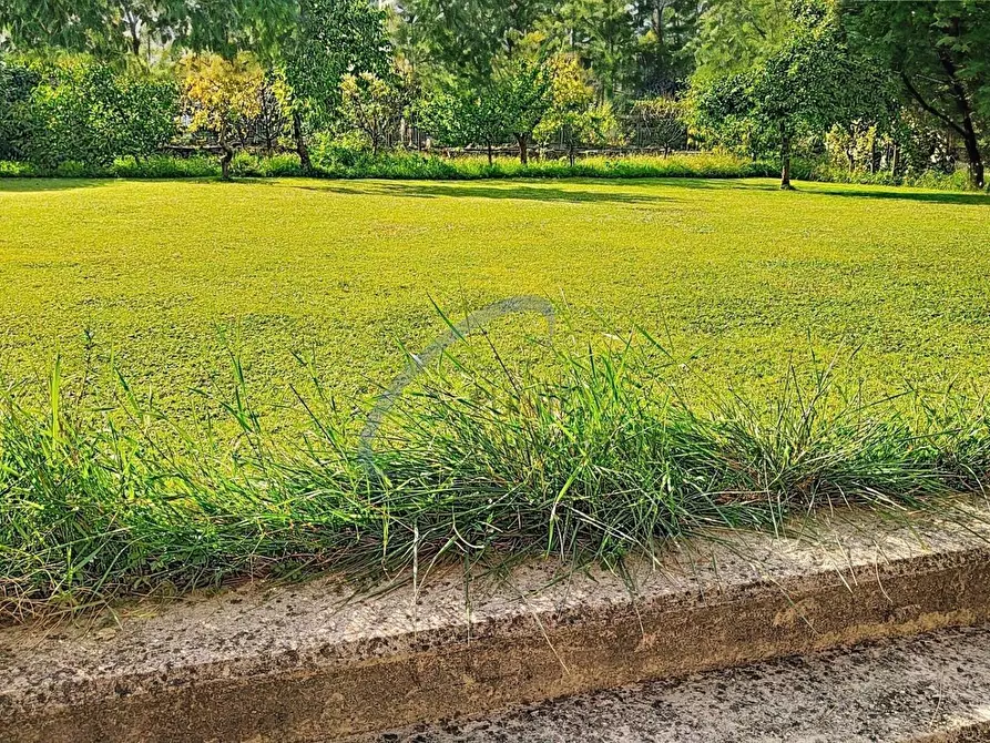 Immagine 25 di Appartamento in affitto  a Chiavari