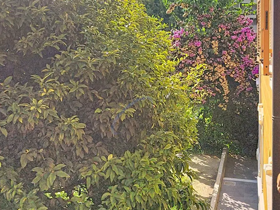 Immagine 26 di Appartamento in affitto  a Chiavari