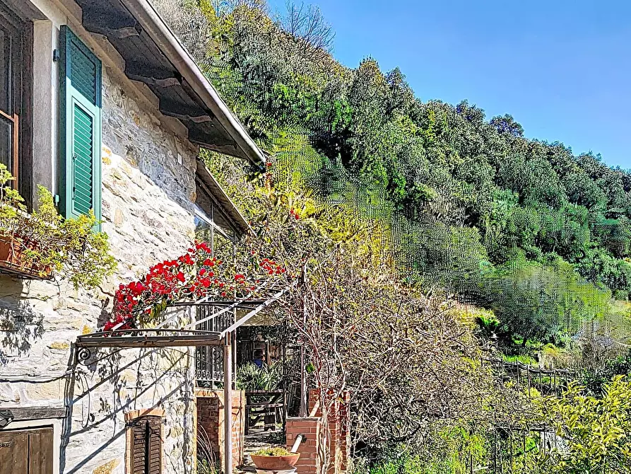 Immagine 1 di Casa semindipendente in vendita  a San Colombano Certenoli