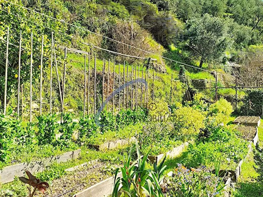 Immagine 20 di Casa semindipendente in vendita  a San Colombano Certenoli