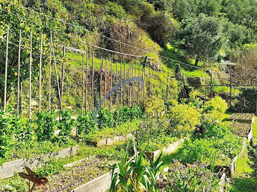 Immagine 22 di Casa semindipendente in vendita  a San Colombano Certenoli