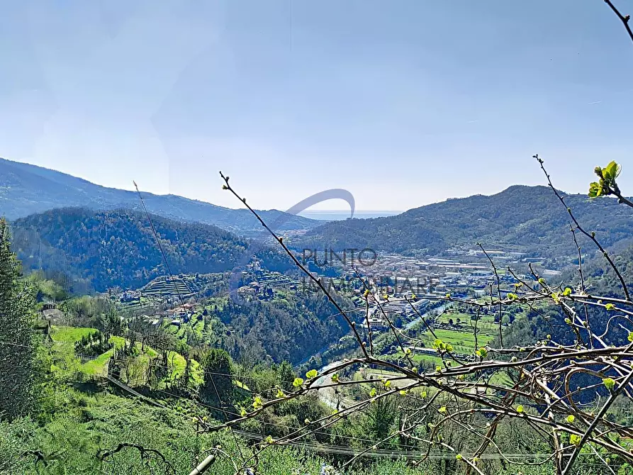Immagine 25 di Casa semindipendente in vendita  a San Colombano Certenoli