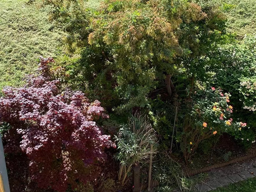 Immagine 33 di Appartamento in vendita  in Via lame 372 a Castel Maggiore