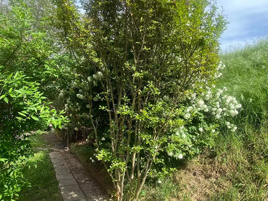 Immagine 34 di Appartamento in vendita  in Via lame 372 a Castel Maggiore