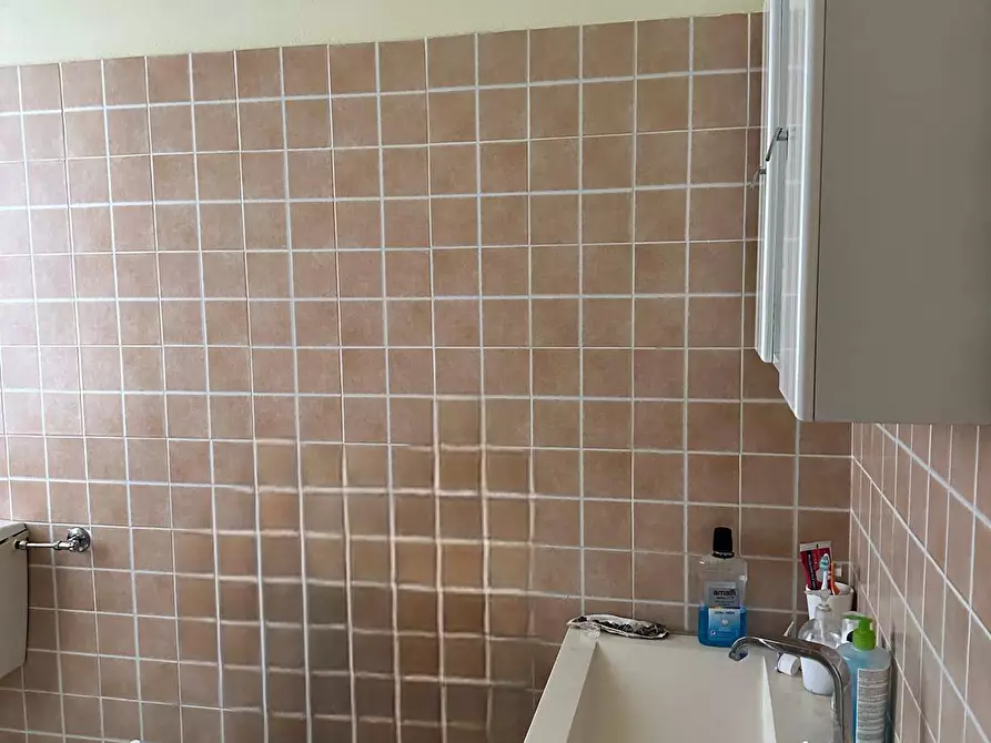 Immagine 9 di Locale commerciale in vendita  in VIA DEL PERSICO 8 a Portomaggiore