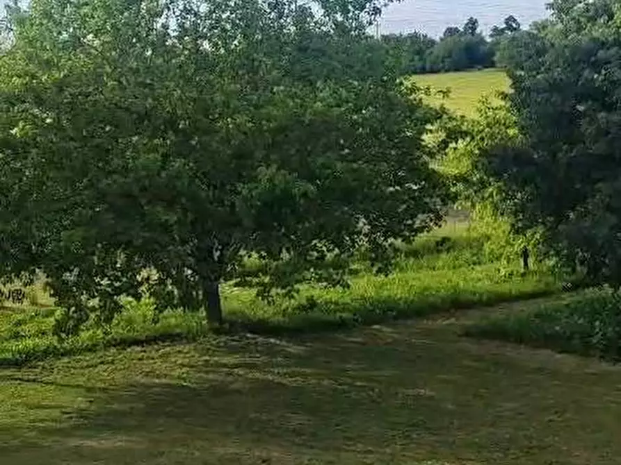 Immagine 6 di Appartamento in vendita  in Via Cristoforo Colombo 33 a Bologna