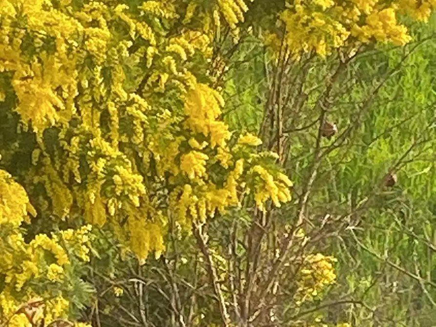 Immagine 36 di Appartamento in vendita  in Via lame 372 a Castel Maggiore